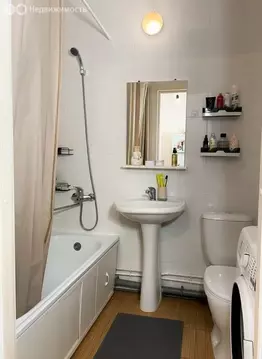 Квартира-студия: Санкт-Петербург, Парашютная улица, 42к1 (26.7 м)