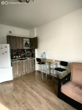 Квартира-студия: Санкт-Петербург, проспект Ветеранов, 169к2 (24.14 м)