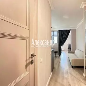 Студия Санкт-Петербург Большой Сампсониевский просп., 77 (30.0 м)