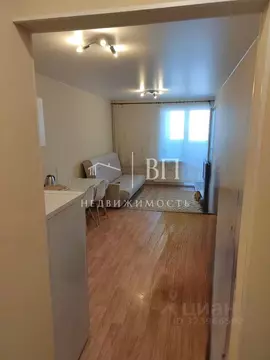 Студия Ленинградская область, Мурино Всеволожский район, бул. ...