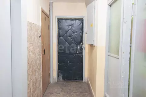 Комната Санкт-Петербург Петергофское ш., 15к2 (14.0 м)