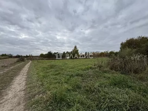 Участок в Владимирская область, Ковровский район, Ивановское с/пос, с. ...