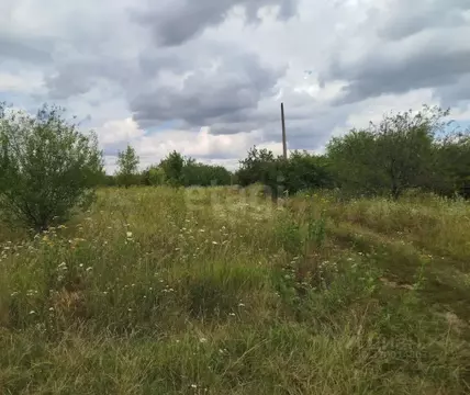 Участок в Белгородская область, Корочанский район, Мелиховское с/пос, ...