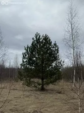 Участок в село Большие Кургузи, Солнечная улица, 10 (11 м)