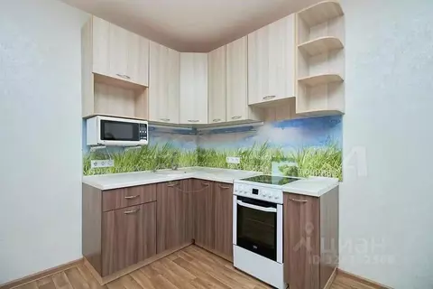 Студия Тюменская область, Тюмень ул. Беляева, 33к2 (30.0 м)