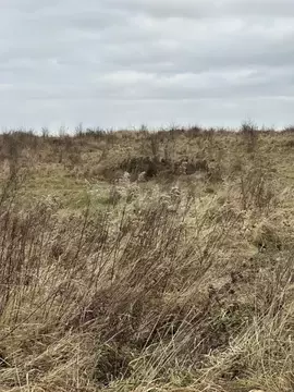 Участок в Калининградская область, Гвардейский муниципальный округ, ...