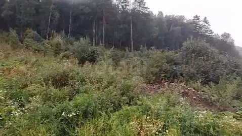 Участок в Алтай, Майминский район, Манжерокское с/пос, с. Озерное ул. ...