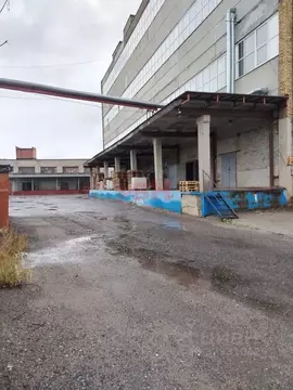 Производственное помещение в Пензенская область, Пенза Саранская ул. ...