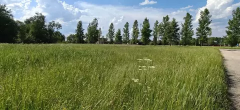 Участок в Московская область, Рузский муниципальный округ, д. Лидино  ...
