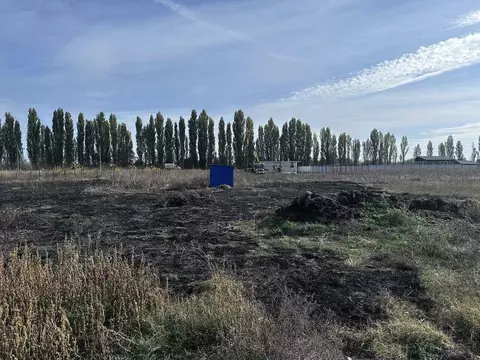 Участок в Краснодарский край, Динской район, Нововеличковское с/пос, ...