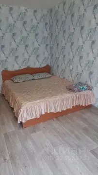 1-к кв. Удмуртия, Ижевск ул. Кирова, 114 (31.0 м)