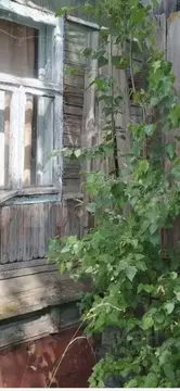 Дом в Саратовская область, Петровск ул. Куйбышева, 232 (64 м)