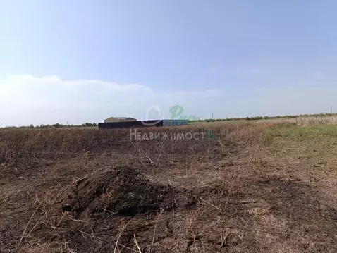 Участок в Краснодарский край, Ейск ул. Чайковского (6.0 сот.)