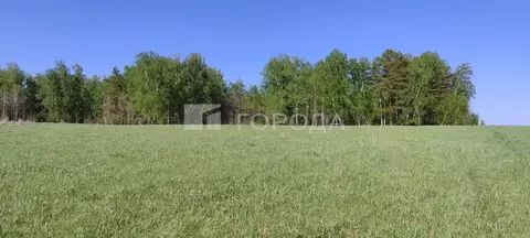Участок в Алтайский край, Первомайский район, с. Фирсово ул. Кедровая ...