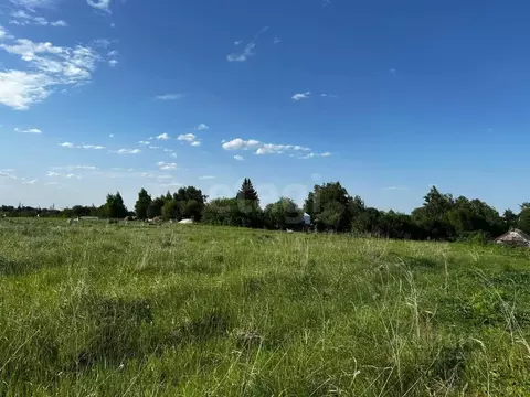 Участок в Брянская область, Брянский район, Мичуринское с/пос, д. ...