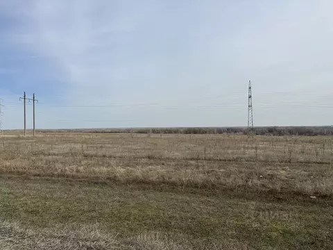 Участок в Оренбургская область, Оренбургский район, пос. Ленина ...