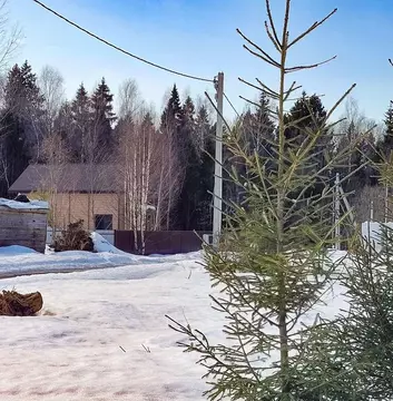 Участок в Московская область, Дмитровский муниципальный округ, Икша ...