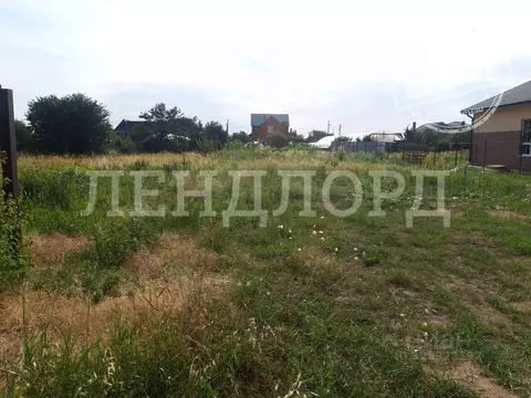 Участок в Ростовская область, Новочеркасск ул. Шолохова (7.5 сот.)