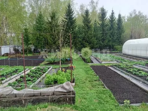 Участок в Белгородская область, Яковлевский муниципальный округ, с. ...