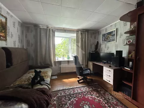 2-к кв. Костромская область, Буй ул. Социализма, 33 (50.0 м)