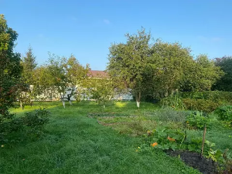 Продается участок в д. Руднево