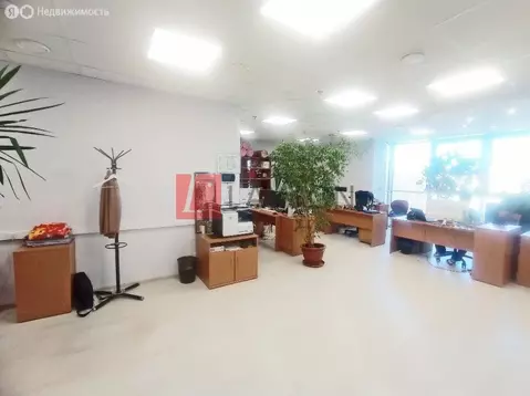 Офис (300 м)
