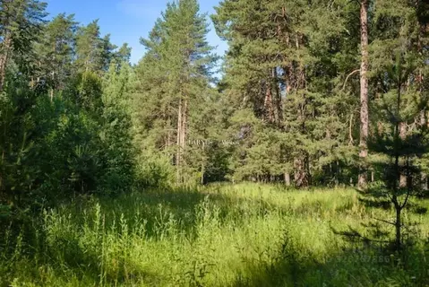 Участок в Московская область, Одинцовский городской округ, д. ...