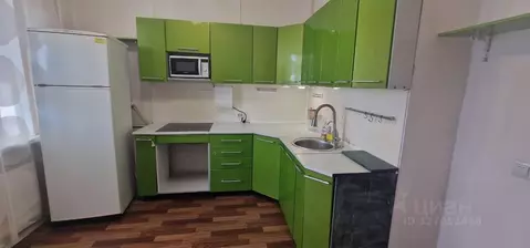 1-к кв. Санкт-Петербург ул. Еремеева, 3к2 (41.0 м)