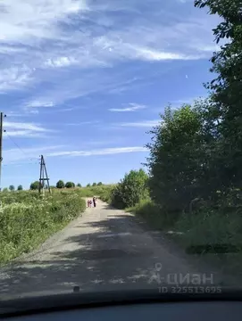 Участок в Пермский край, Пермский муниципальный округ, Урочище Россохи ...