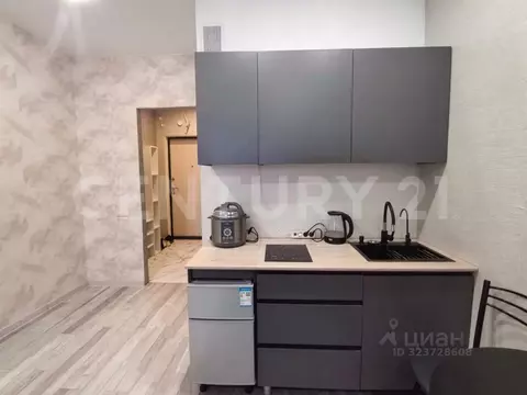 Студия Ленинградская область, Кудрово г. Всеволожский район, Заневское ...