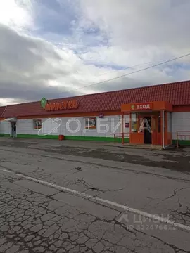 Торговая площадь в Тюменская область, Заводоуковск Центральная ул., ...