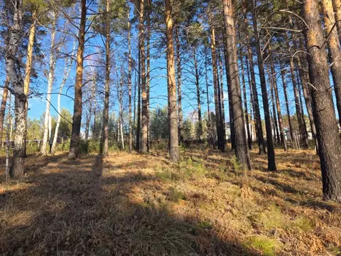 Участок в Иркутская область, Иркутский муниципальный округ, Маркова ...