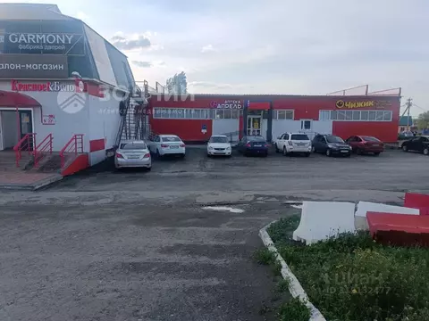 Помещение свободного назначения в Чувашия, с. Батырево просп. Ленина, ...