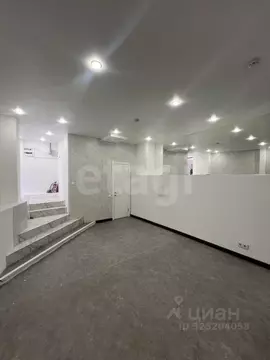 Офис в Санкт-Петербург пер. Пирогова, 19 (53 м)