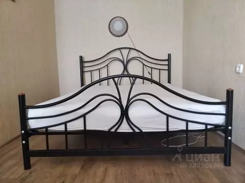 1-к кв. Волгоградская область, Волгоград Невская ул., 18 (35.0 м)