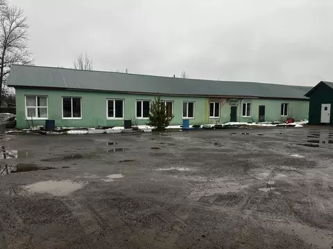 Помещение свободного назначения в Владимирская область, Судогда ул. ...