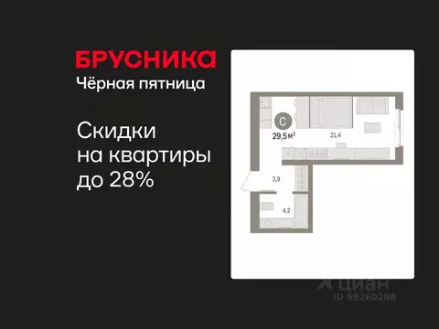 Студия Свердловская область, Екатеринбург пер. Торфяной, 4 (29.5 м)