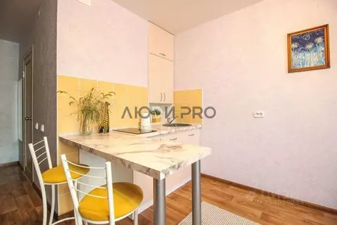 Студия Алтайский край, Барнаул тракт Павловский, 305 (28.4 м)