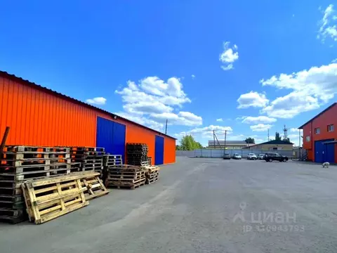 Склад в Пензенская область, Пензенский район, Мичуринский сельсовет, ...