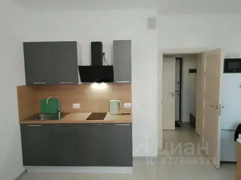 Студия Санкт-Петербург ул. Верхне-Каменская, 11к1 (25.0 м)