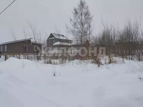 Участок в Новосибирская область, Новосибирский район, Криводановский ...