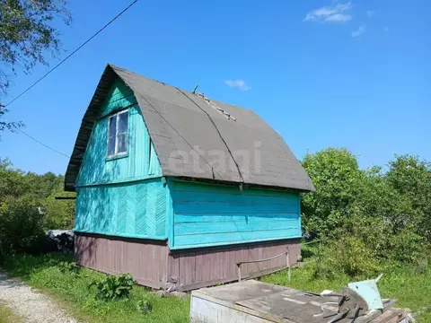 Дом в Ленинградская область, Волхов Восход 6 СТ, ул. Вишневая (28 м)