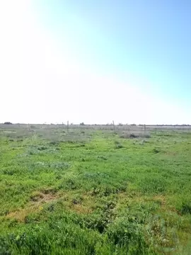 Участок в Крым, Сакский район, с. Молочное  (6.0 сот.)