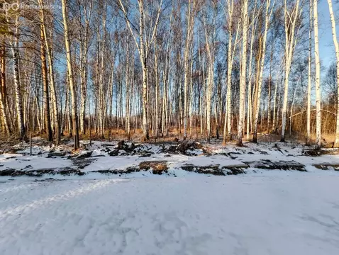 Участок в Тюменская область, Нижнетавдинский муниципальный округ, КП ...