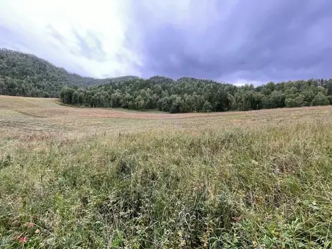 Участок в Алтай, Чемальский район, Чемальское с/пос  (10.0 сот.)