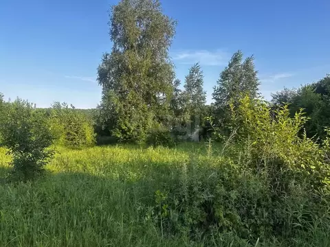 Участок в Амурская область, Благовещенск  (7.9 сот.)