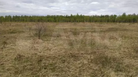 Участок в Тульская область, Алексин городской округ, д. Большое ...