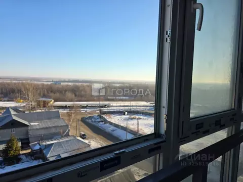 Студия Алтайский край, Барнаул ул. Никитина, 10 (24.5 м)