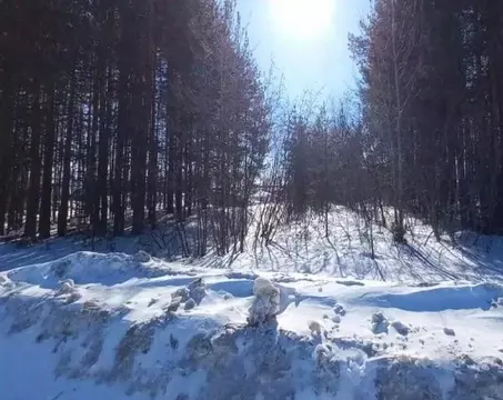 Участок в Ханты-Мансийский АО, Югорск Промышленная ул. (88.74 сот.)