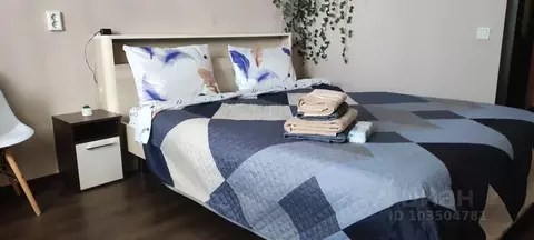 1-к кв. Алтайский край, Барнаул Пролетарская ул., 15 (21.0 м)